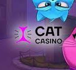 Все, что надо знать о регистрации в Кэт Казино